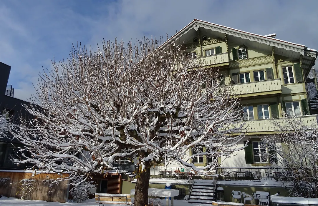 Backpackers Villa Sonnenhof - Hostel Interlaken-1